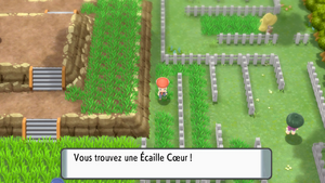 Route 214 Écaille Cœur DEPS.png