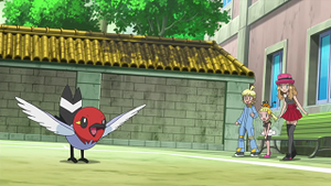 XY023 - Passerouge de Sacha.png