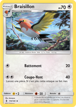 Braisillon (Soleil et Lune Gardiens Ascendants 110)