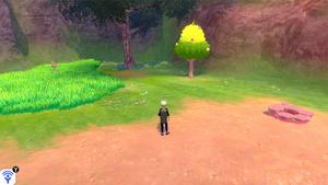 Lac Ouragan Arbre à Baies EB.png