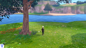 Lagune Circulaire Objet Caché 10 EB.png