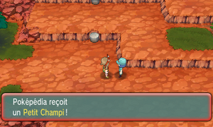 Sentier Sinuroc Petit Champi ROSA.png