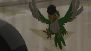 VP03 - Tapatoès.png