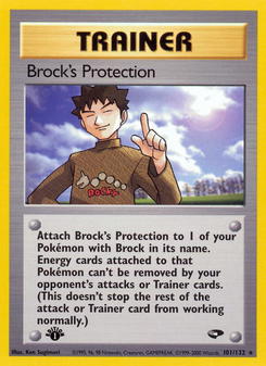 Brock's Protection (Gym Challenge 101)