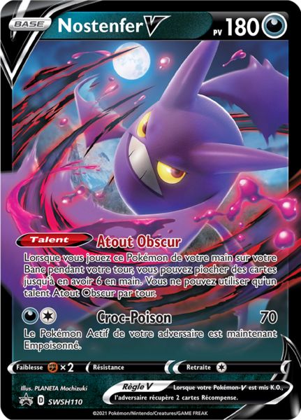 Fichier:Carte Promo SWSH SWSH110.png