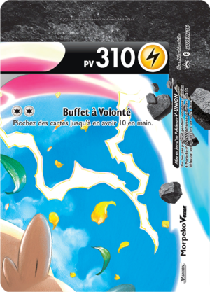 Carte Promo SWSH SWSH216.png