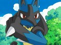 Lucario (de Mélina)