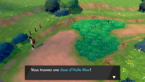 Route 2 Huile Max EB.png
