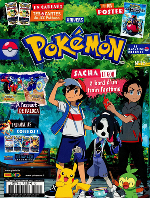 Univers Pokémon - 15.png