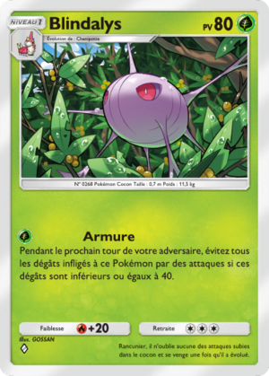 Carte Méga-Ascension 006.png