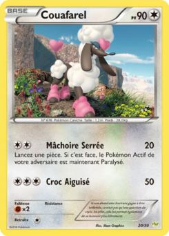 Couafarel (XY Kit du Dresseur Bruyverne 20)