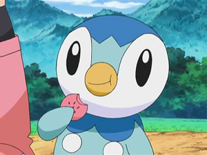 DP145 - Tiplouf d'Aurore.png