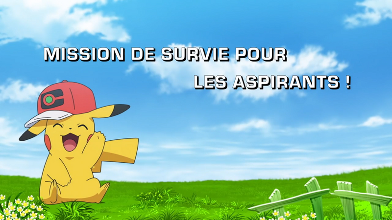 Fichier:Ecran titre LV110 FR.png