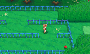 Route 121 Carbone ROSA.png