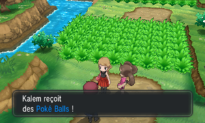 Route 2 Poké Balls XY.png