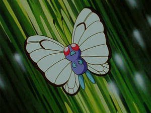 EP008 - Papilusion de Sacha.png