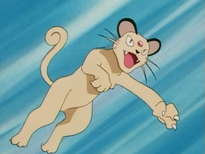 EP099 - Persian d'un Dresseur.png