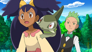 NB076 - Coupenotte d'Iris.png