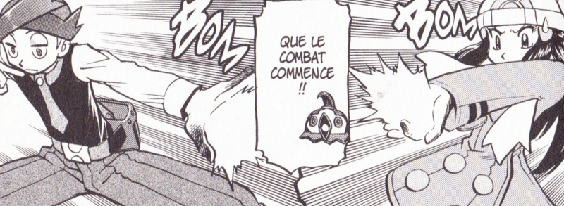 Fichier:PMS427.png