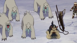 Polagriffe sauvages Film 14.png