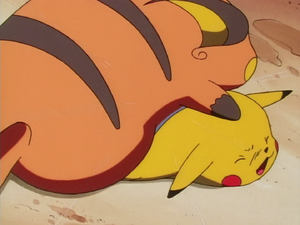 Raichu Plaquage.png