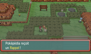 Route 113 Rappel ROSA.png