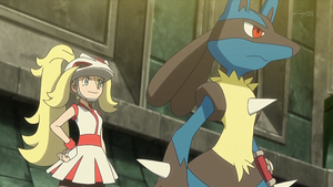 XY044 - Lucario de Cornélia.png