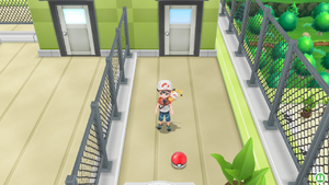 3 Bonbons Santé S (Céladopole).png