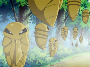 AG163 - Coconfort.png