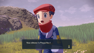 Bocage Agité Plaque Roc LPA.png