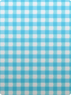 Fond Vichy Bleu HOME.png