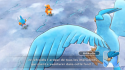 Artikodin défie les compères.