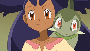 NB081 - Coupenotte d'Iris.png