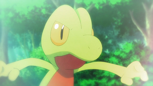 XY075 - Arcko de Liam (Flash-back).png