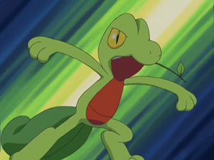 AG024 - Arcko de Sacha.png