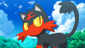SL029 - Flamiaou de Sacha.png