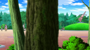 XY016 - Passerouge, Roucool et Wattouat d'un Dresseur.png