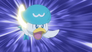 LH016 - Coiffeton Écras'Face.png