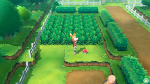 Route 14 Pépite LGPE.png