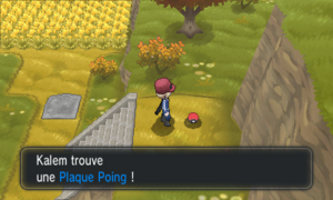 Route 16 Plaque Poing XY.png