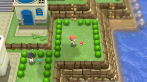 Route 213 Protéine DEPS.png
