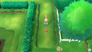 Céladopole Pépite LGPE.png