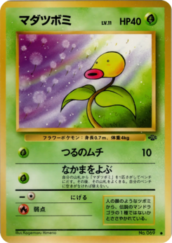 Carte ポケモンジャングル マダツボミ.png