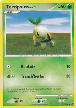 Tortipouss (Diamant & Perle Aube Majestueuse 77)