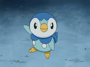 DP109 - Tiplouf d'Aurore.png