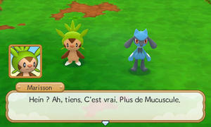 Forêt Buissonnière (5) PMDM.png
