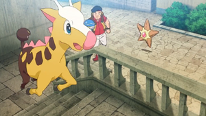 Girafarig de Callahan.png
