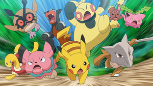 LV024 - Laporeille d'un Dresseur.png