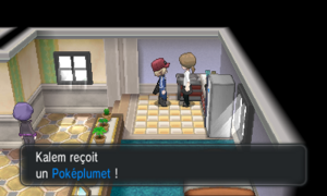 Port Tempères Poképlumet XY.png