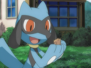 DP071 - Riolu d'un Dresseur (Flash-back).png